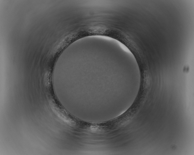 X0000110710641200907101245