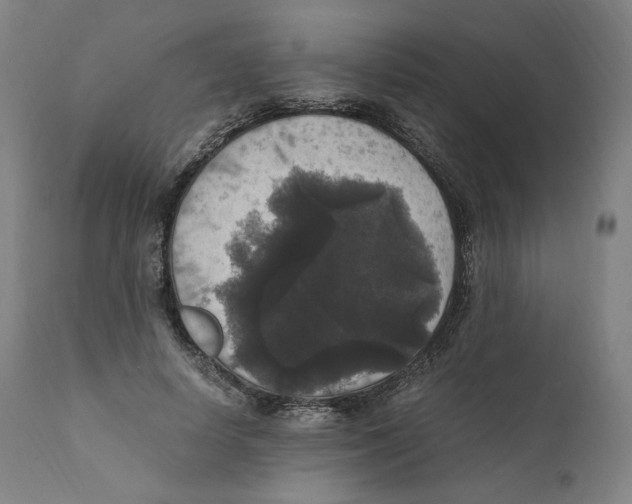 X0000110710642200907101245