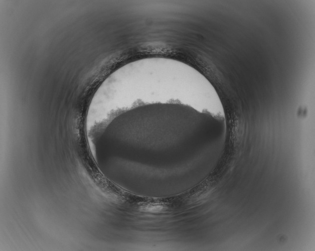 X0000110710643200907101245