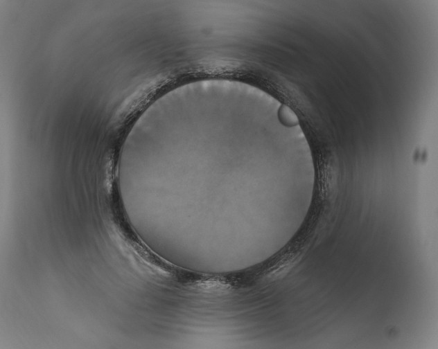X0000110710644200907101245
