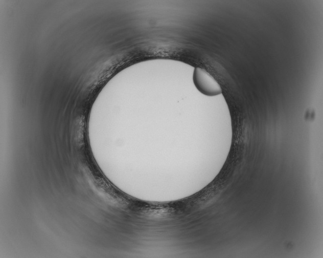 X0000110710646200907101245