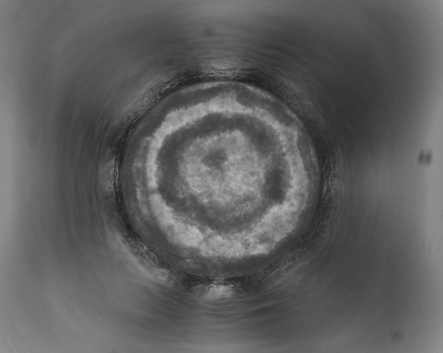 X0000110710647200907101245