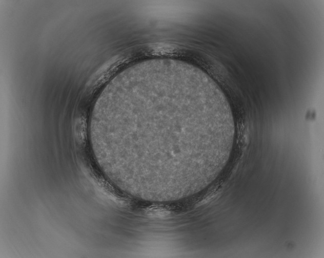 X0000110710648200907101245