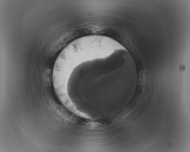 X0000110710650200907101245