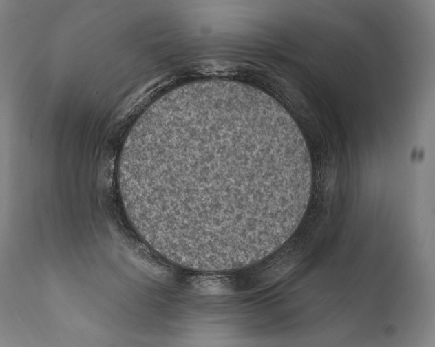 X0000110710652200907101245