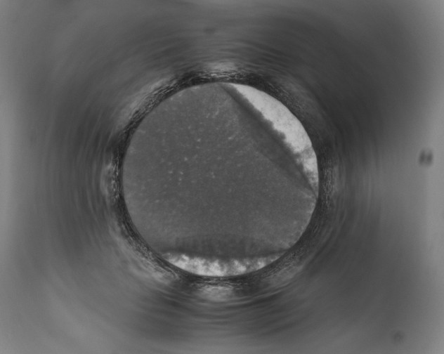 X0000110710653200907101245