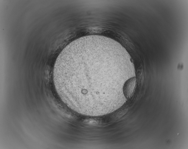 X0000110710655200907101245