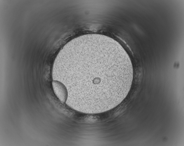 X0000110710656200907101245