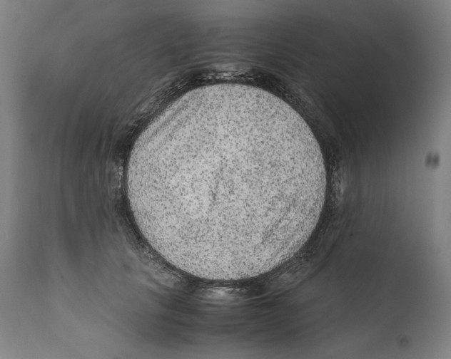 X0000110710657200907101245