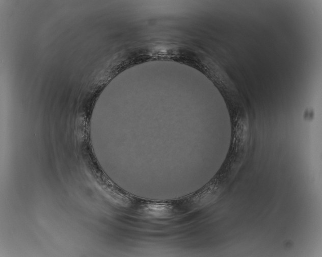 X0000110710659200907101245