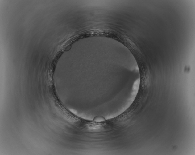 X0000110710661200907101245