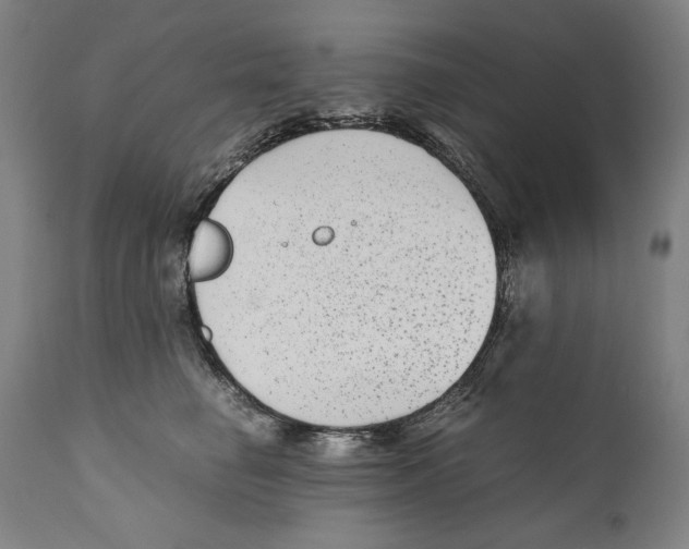 X0000110710662200907101245