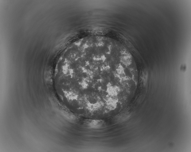 X0000110710663200907101245