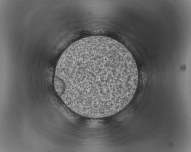 X0000110710664200907101245