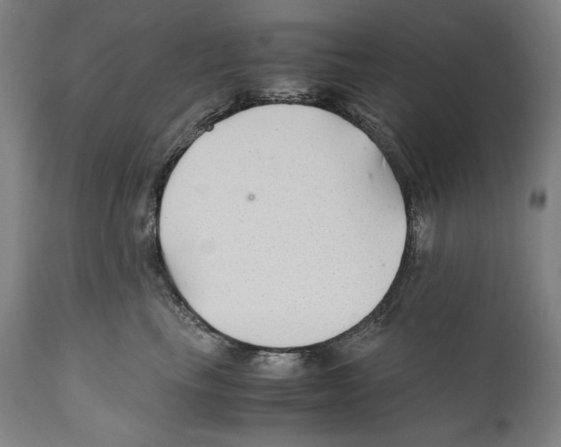 X0000110710665200907101245