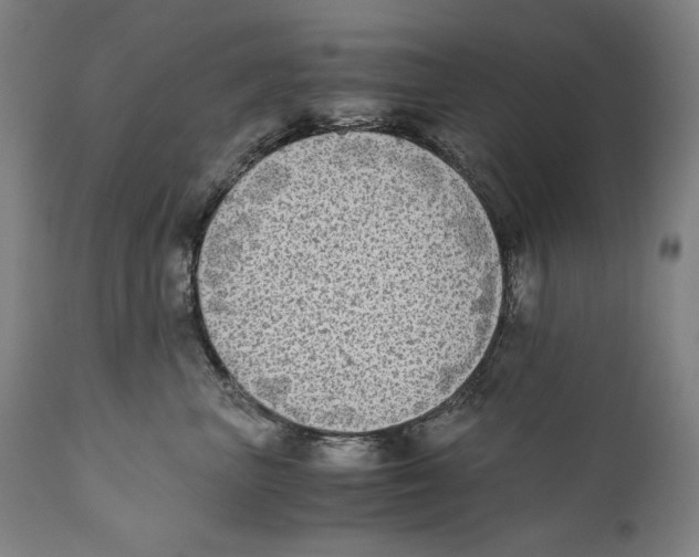 X0000110710667200907101245