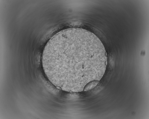 X0000110710668200907101245
