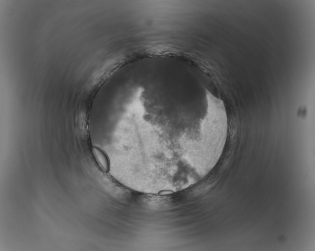 X0000110710670200907101245