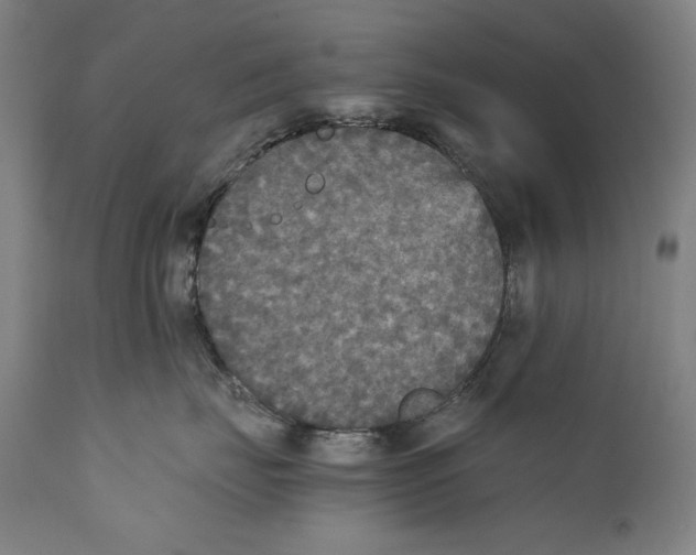 X0000110710671200907101245