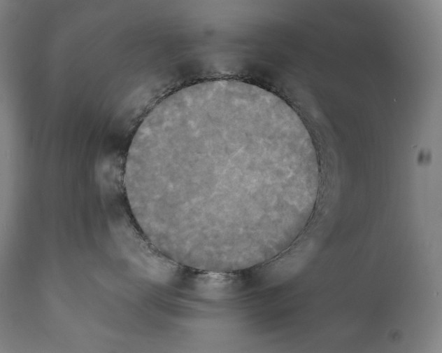 X0000110710672200907101245