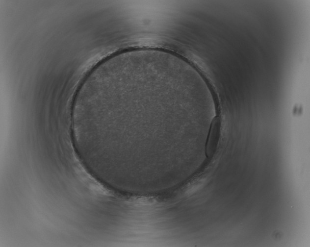 X0000110710673200907101245