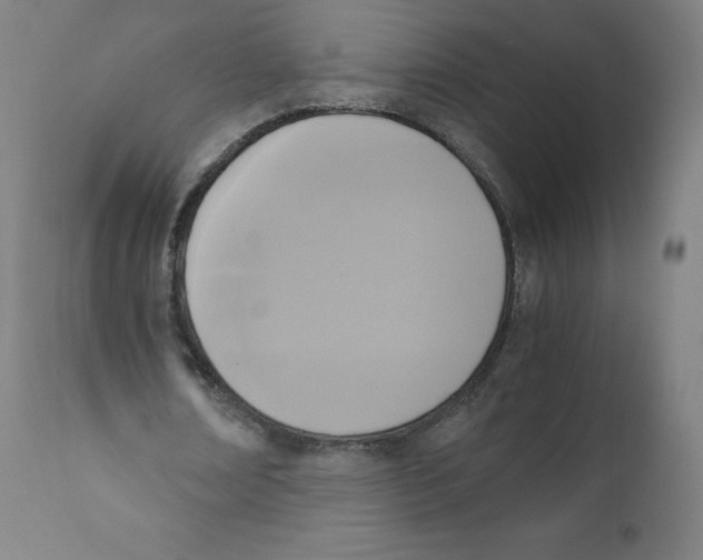 X0000110710674200907101245