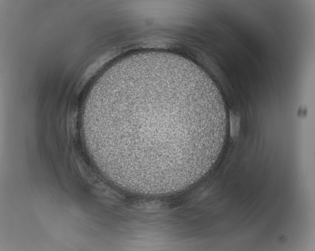 X0000110710675200907101245