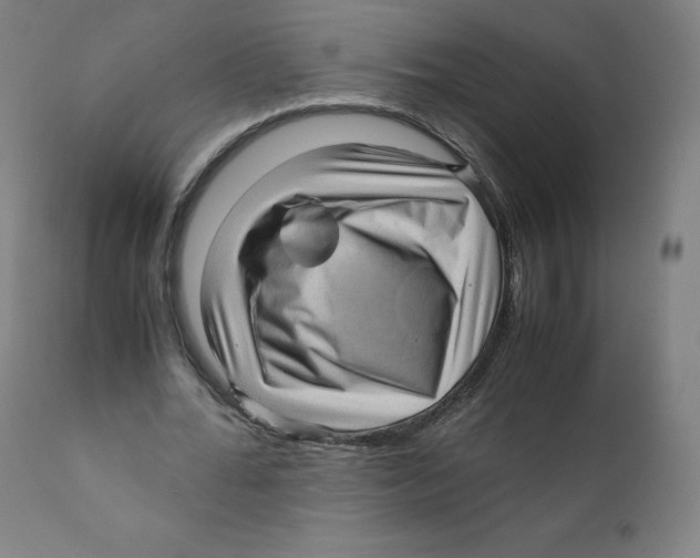 X0000110710676200907101245