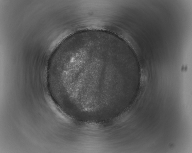 X0000110710677200907101245