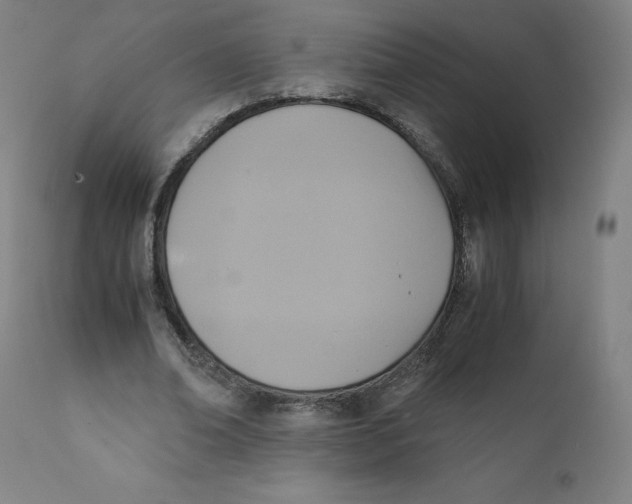 X0000110710678200907101245
