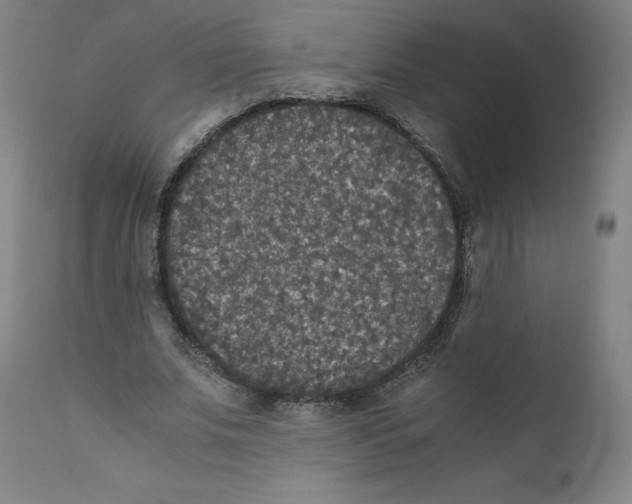 X0000110710679200907101245