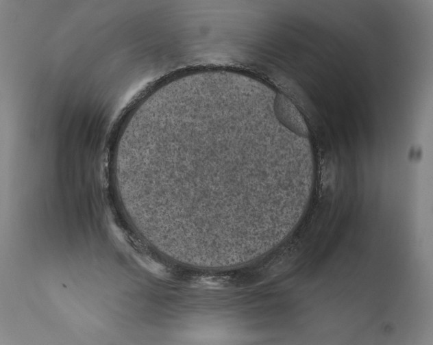 X0000110710680200907101245