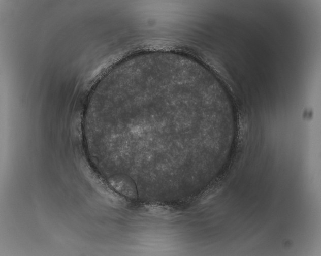 X0000110710681200907101244