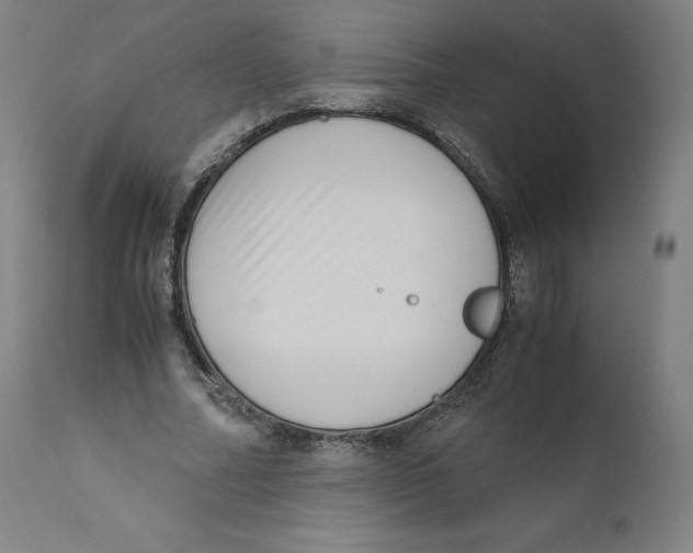 X0000110710682200907101244