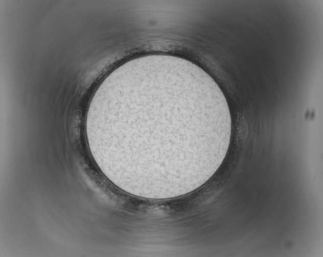 X0000110710683200907101244