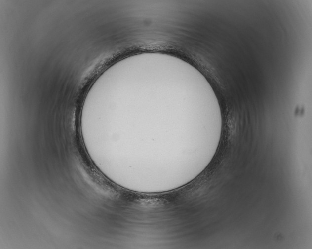 X0000110710686200907101244