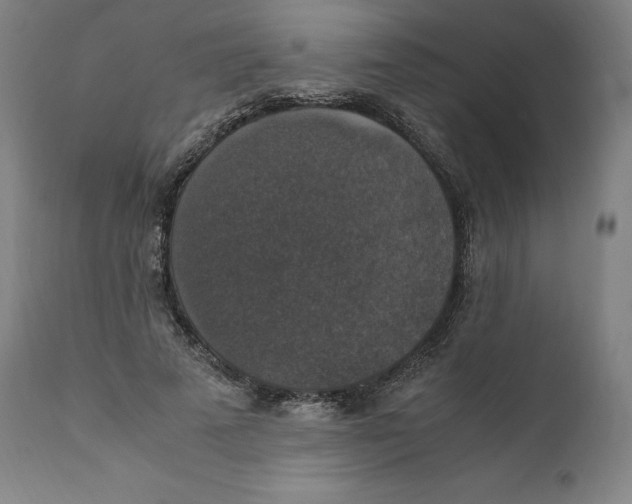 X0000110710689200907101244