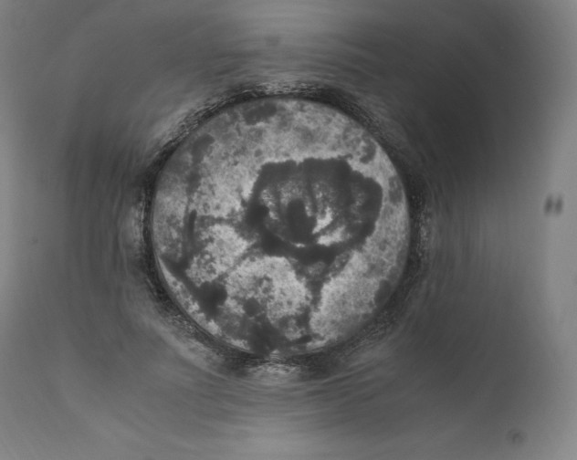 X0000110710691200907101244