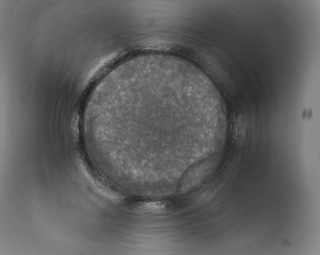 X0000110710692200907101244