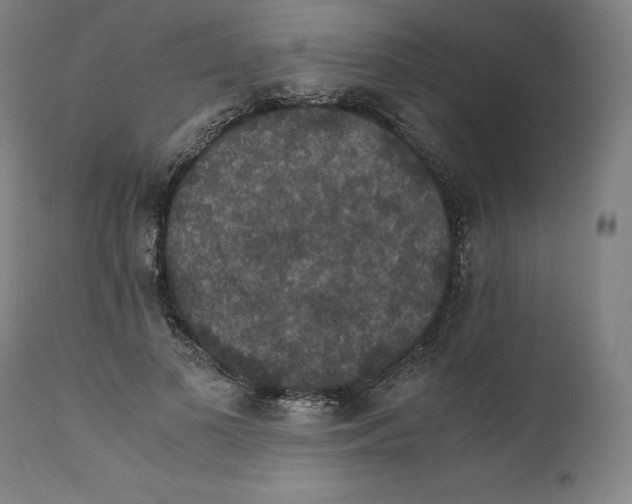 X0000110710693200907101244