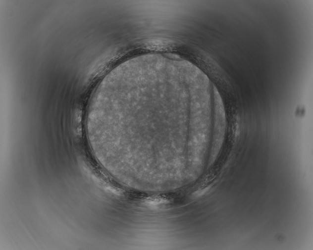 X0000110710696200907101244