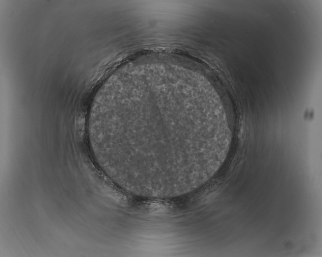X0000110710697200907101244