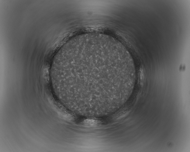 X0000110710699200907101244