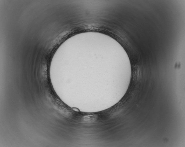 X0000110710700200907101244
