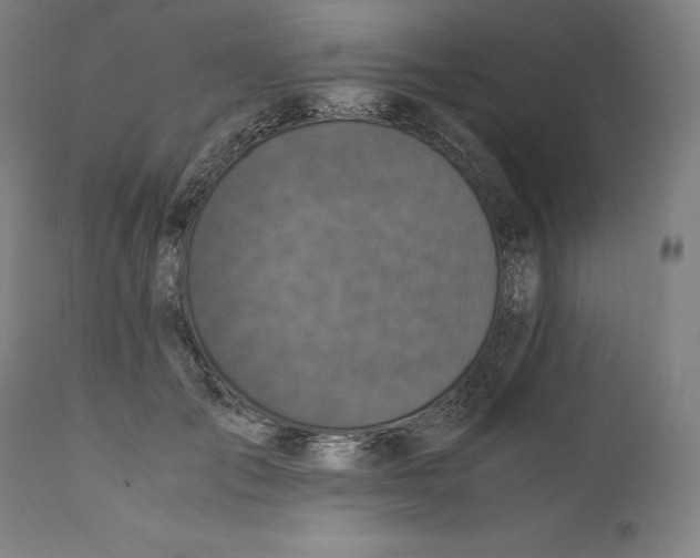 X0000110710701200907101244