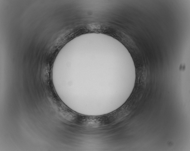 X0000110710702200907101244