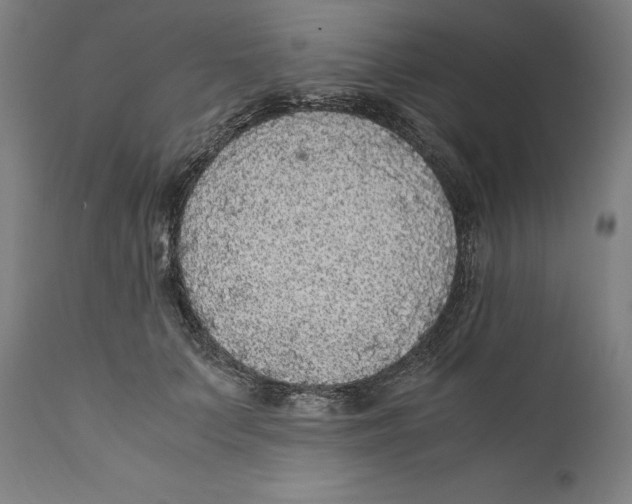 X0000110710703200907101244