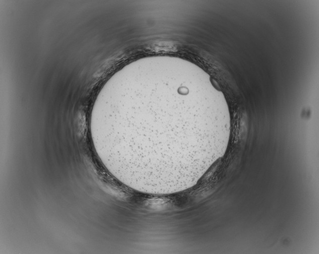 X0000110710704200907101244