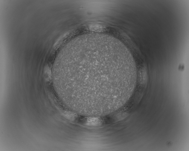 X0000110710705200907101244