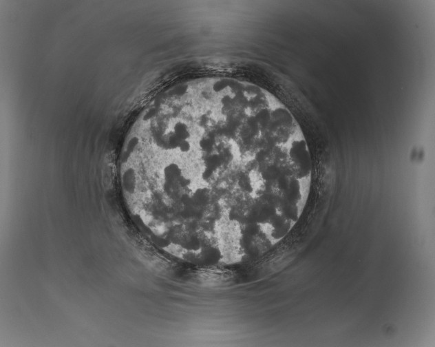 X0000110710707200907101244